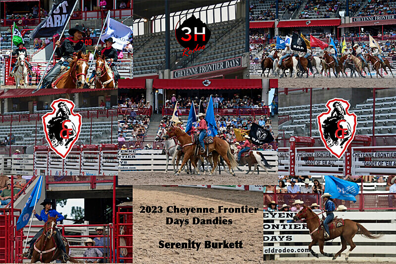 Serenity Burkett Collage 7 - Rodeo Images as Artwork Pieces