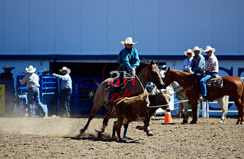3HRodeo8-11-25_PRCASteer_02270_ - 2025 Colorado Stand Alone Steer Roping-Greeley