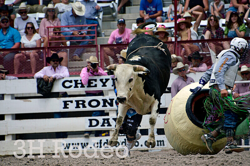 _DSC4181 - CFD Rodeo Performance - July 27th