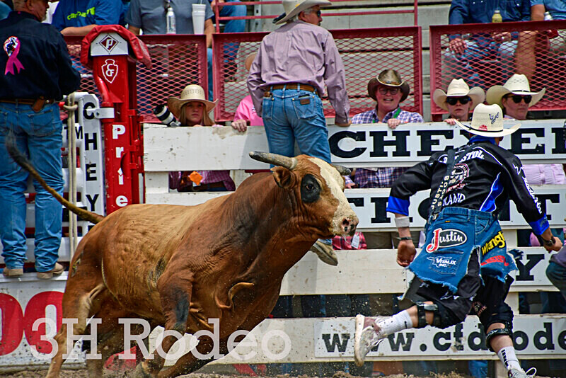 _DSC3889 - CFD Rodeo Performance - July 28th