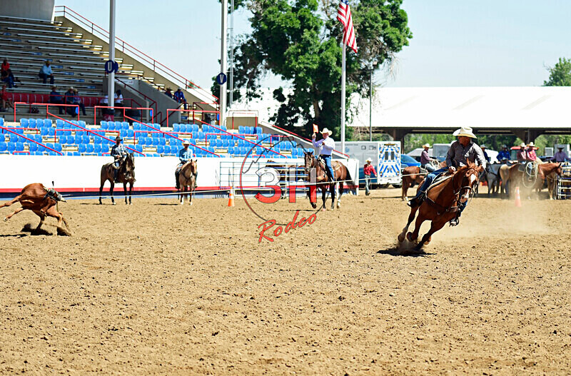 3HRodeo8-11-25_PRCASteer_02835_ - 2025 Colorado Stand Alone Steer Roping-Greeley