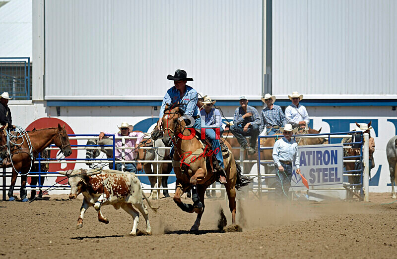 3HRodeo8-11-25_PRCASteer_06497_ - 2025 Colorado Stand Alone Steer Roping-Greeley