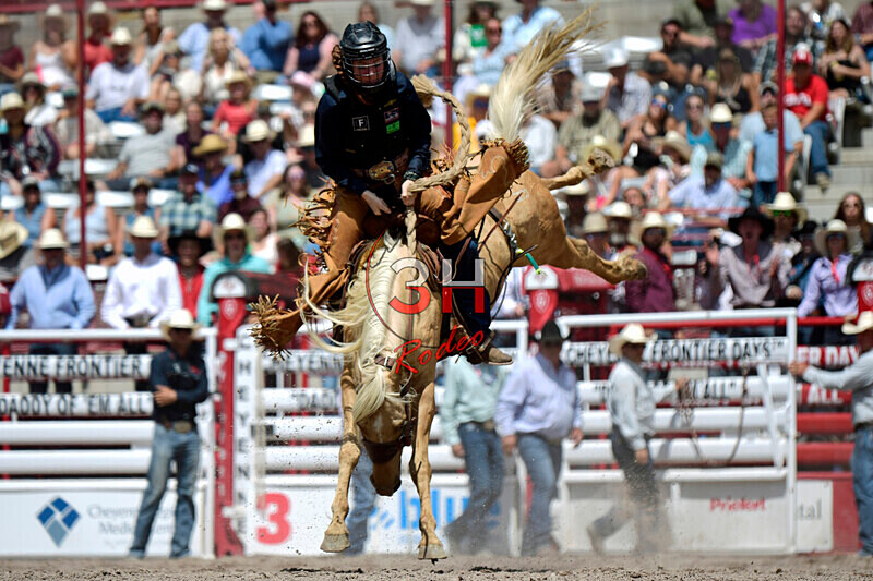 3HRodeo7-20-25_CFD_03300_ - July 20th Rodeo Performance