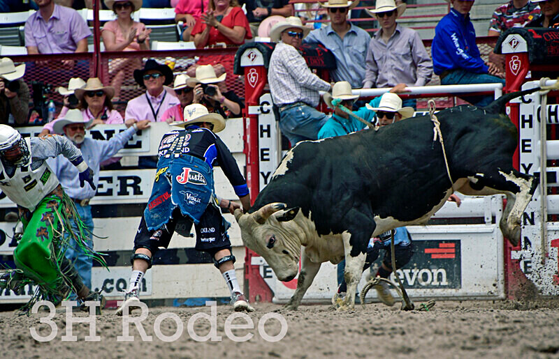 _DSC4166 - CFD Rodeo Performance - July 28th