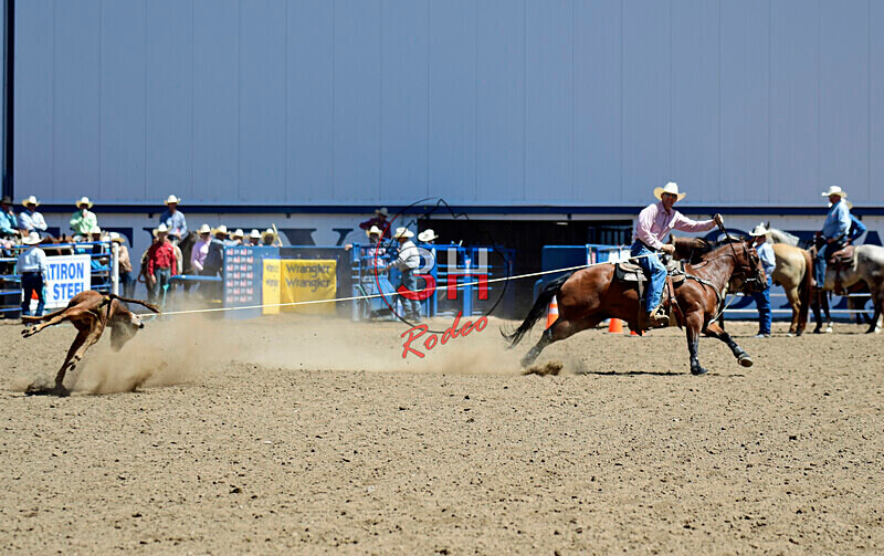 3HRodeo8-11-25_PRCASteer_03366_ - 2025 Colorado Stand Alone Steer Roping-Greeley