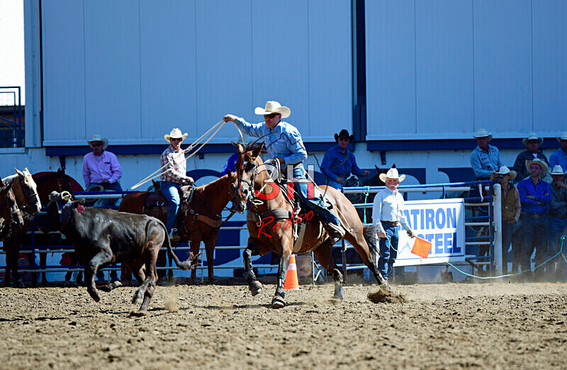 3HRodeo8-11-25_PRCASteer_00505_ - 2025 Colorado Stand Alone Steer Roping-Greeley