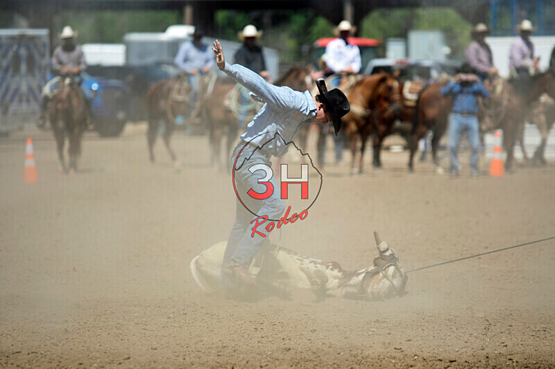 3HRodeo8-11-25_PRCASteer_06523_ - 2025 Colorado Stand Alone Steer Roping-Greeley