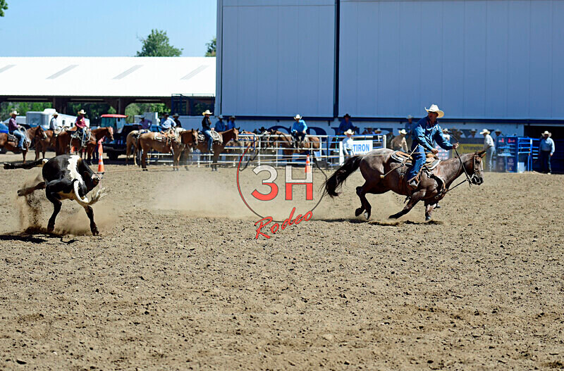 3HRodeo8-11-25_PRCASteer_02770_ - 2025 Colorado Stand Alone Steer Roping-Greeley