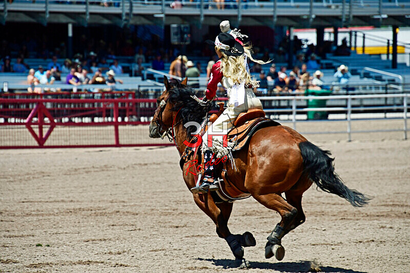3HRodeo7-27-25_CFD_00194_ - CFD Royalty - Miss Frontier & her Lady In-Waiting