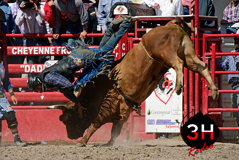 _DSC2391 - CFD Rodeo Performance - July 25th