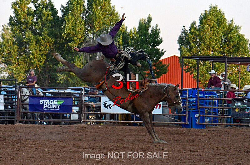 3HRodeo7-12-24_LJD_3HR4058_LJD - PRCA Rodeo - July 12, 2024