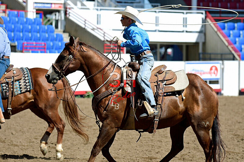 3HRodeo8-11-25_PRCASteer_00710_ - 2025 Colorado Stand Alone Steer Roping-Greeley
