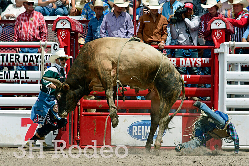 _DSC7125 - CFD Rodeo Performance - July 25th