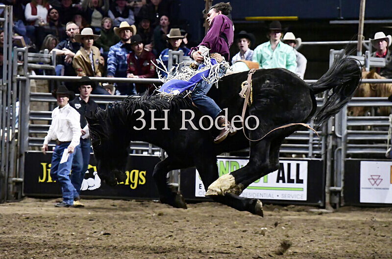 Reigns Provost_DSC2148 - Extreme Rodeo Challenge