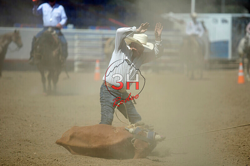 3HRodeo8-11-25_PRCASteer_07047_ - 2025 Colorado Stand Alone Steer Roping-Greeley