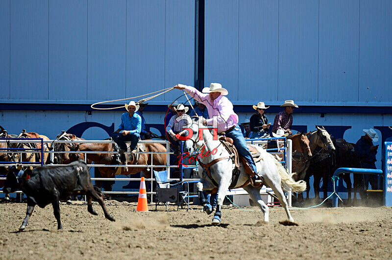 3HRodeo8-11-25_PRCASteer_02325_ - 2025 Colorado Stand Alone Steer Roping-Greeley
