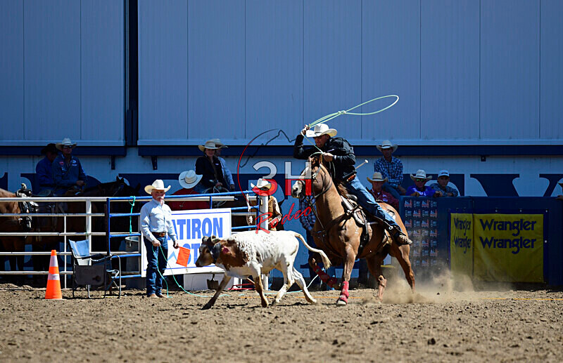 3HRodeo8-11-25_PRCASteer_01675_ - 2025 Colorado Stand Alone Steer Roping-Greeley