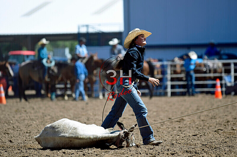 3HRodeo8-11-25_PRCASteer_01875_ - 2025 Colorado Stand Alone Steer Roping-Greeley