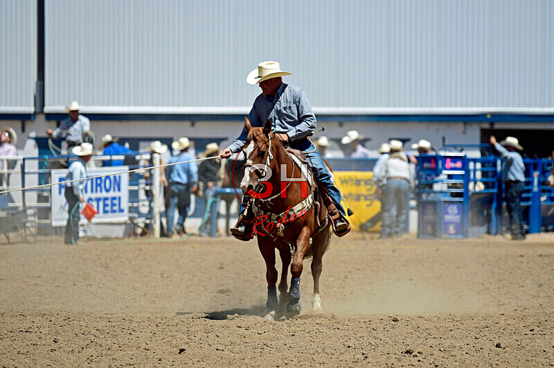 3HRodeo8-11-25_PRCASteer_05331_ - 2025 Colorado Stand Alone Steer Roping-Greeley