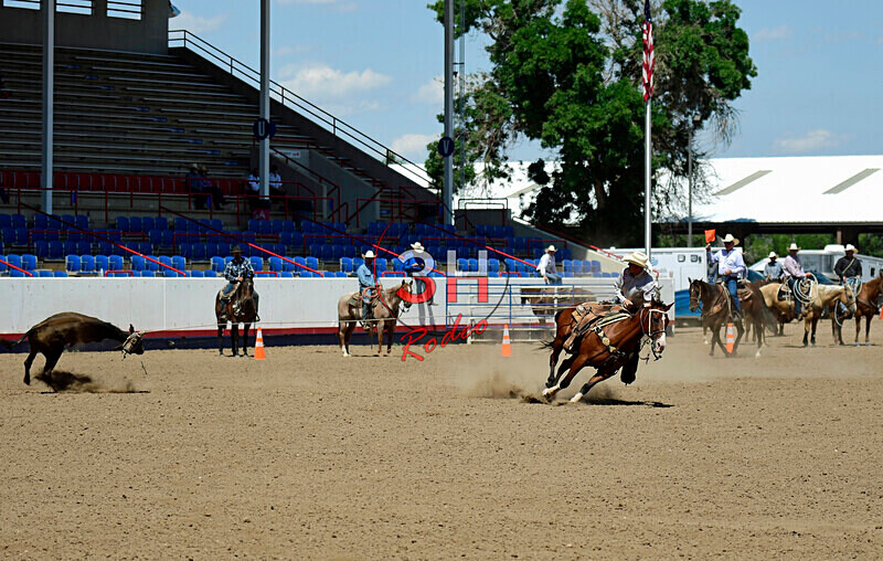 3HRodeo8-11-25_PRCASteer_06099_ - 2025 Colorado Stand Alone Steer Roping-Greeley