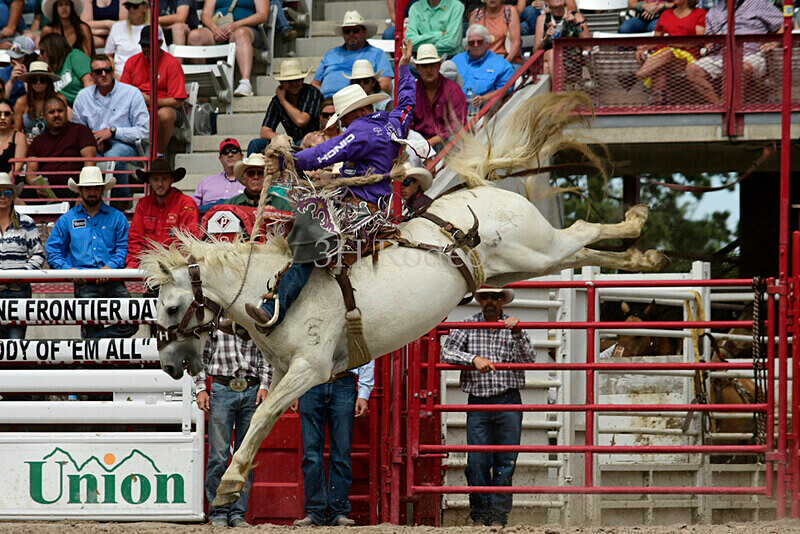 _DSC9266 - CFD Rodeo Performance - July 25th