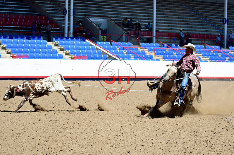 3HRodeo8-11-25_PRCASteer_03321_ - 2025 Colorado Stand Alone Steer Roping-Greeley
