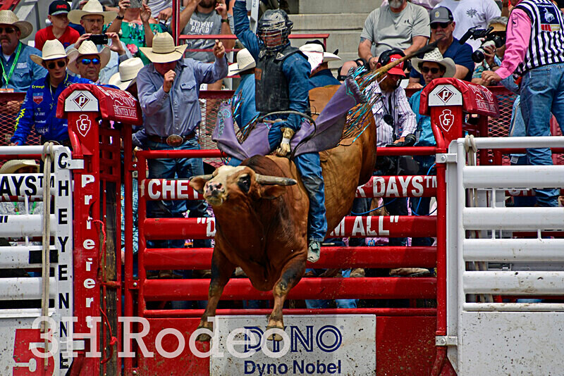 _DSC3802 - CFD Rodeo Performance - July 28th