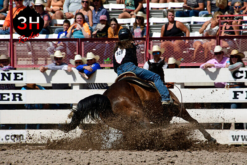 _DSC1801 - CFD Rodeo Performance - July 25th