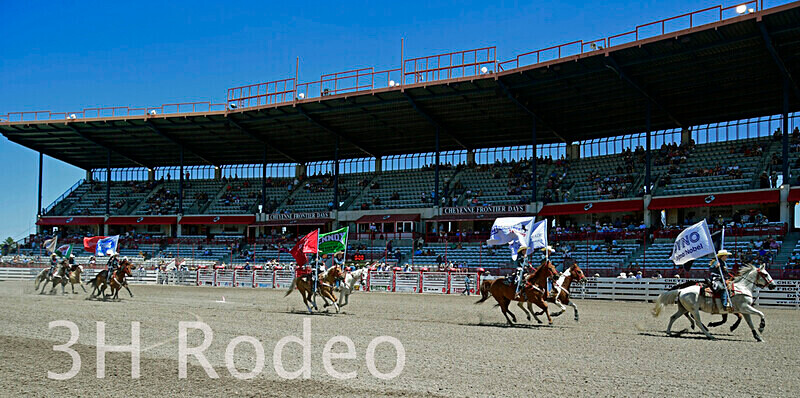 _DSC4648 - CFD Rodeo Performance - July 22nd