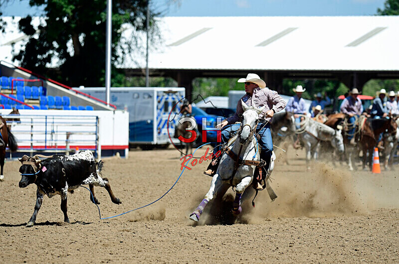 3HRodeo8-11-25_PRCASteer_04020_ - 2025 Colorado Stand Alone Steer Roping-Greeley