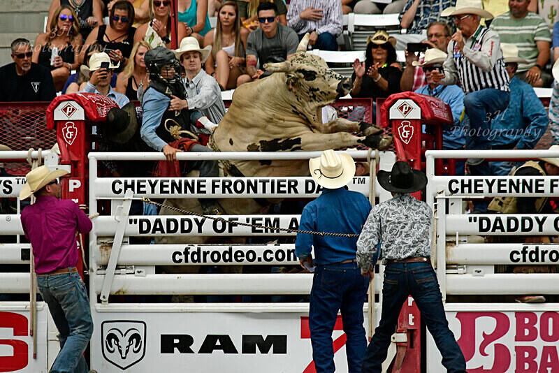 _DSC8441 - 2019 Cheyenne Frontier Days