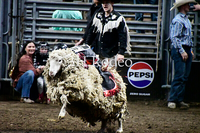 _DSC2811 - Extreme Rodeo Challenge