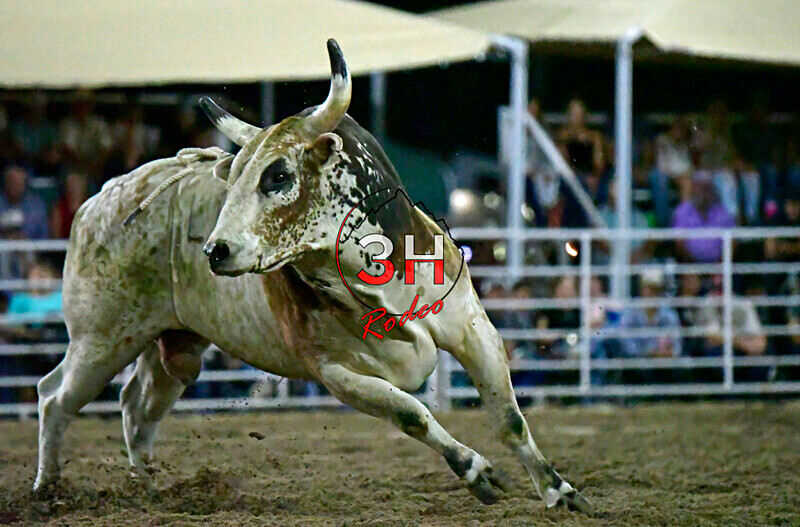 3HRodeo8-5-24_CFD_3HR-YUMA- 6144_ - AUG 5th Rodeo Performance