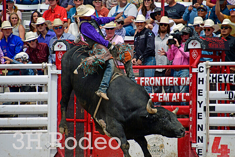 _DSC3657 - CFD Rodeo Performance - July 28th