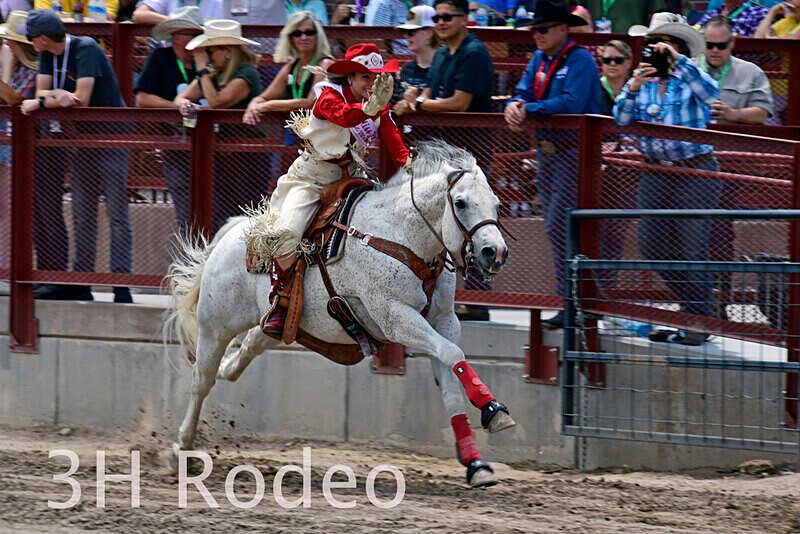 _DSC2544 - CFD Rodeo Performance - July 23rd