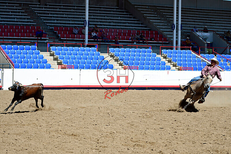 3HRodeo8-11-25_PRCASteer_03300_ - 2025 Colorado Stand Alone Steer Roping-Greeley