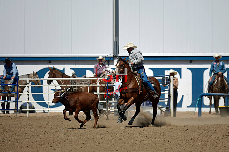 3HRodeo8-11-25_PRCASteer_07580_ - 2025 Colorado Stand Alone Steer Roping-Greeley