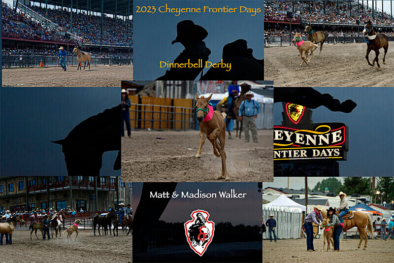 LeDoux Bronze Mads Walker Collage FINAL - Rodeo Images as Artwork Pieces