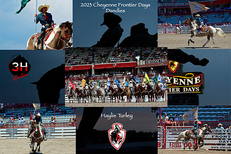 LeDoux Bronze Haylie Collage - Rodeo Images as Artwork Pieces