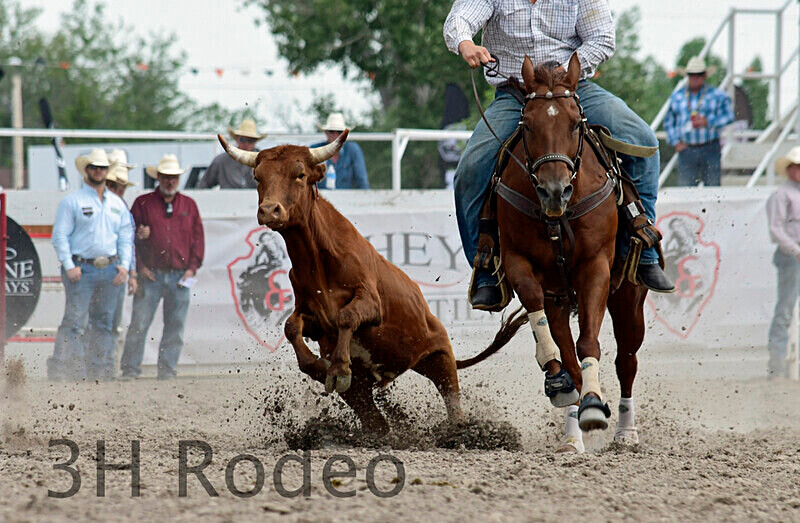 _DSC1464 - CFD Rodeo Performance - July 23rd