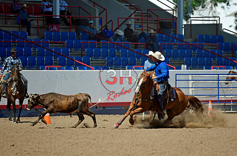 3HRodeo8-11-25_PRCASteer_07299_ - 2025 Colorado Stand Alone Steer Roping-Greeley