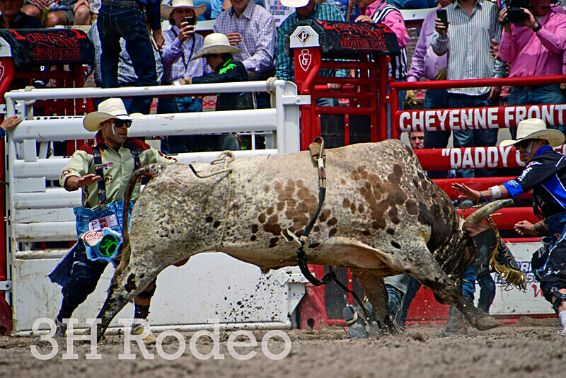_DSC3784 - CFD Rodeo Performance - July 27th