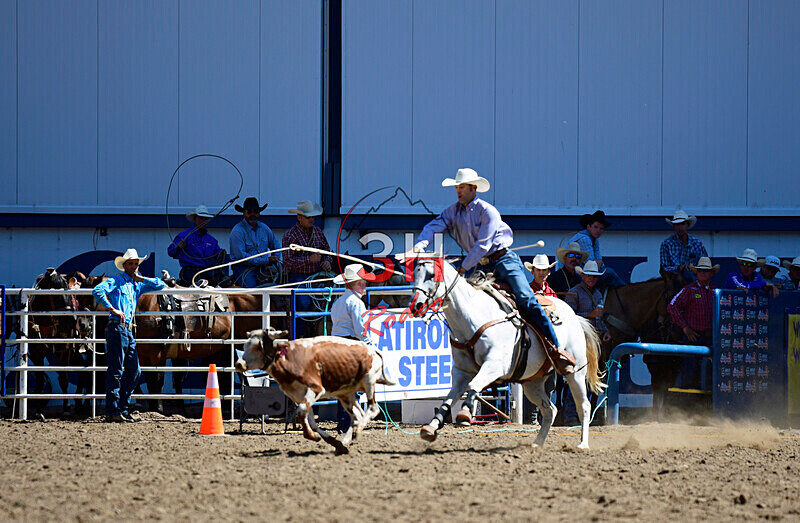 3HRodeo8-11-25_PRCASteer_01893_ - 2025 Colorado Stand Alone Steer Roping-Greeley