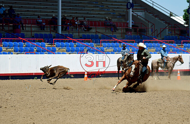 3HRodeo8-11-25_PRCASteer_05560_ - 2025 Colorado Stand Alone Steer Roping-Greeley