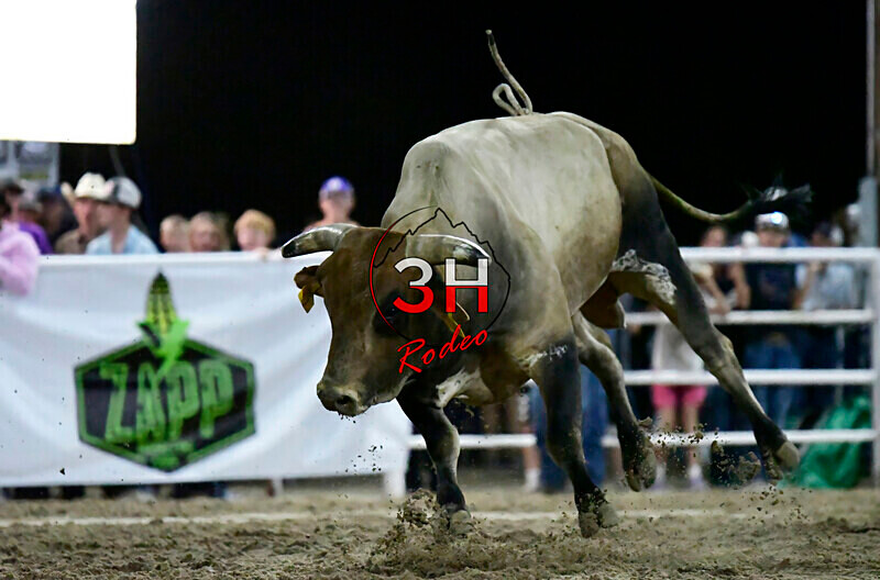 3HRodeo8-5-24_CFD_3HR-YUMA- 5873_ - AUG 5th Rodeo Performance
