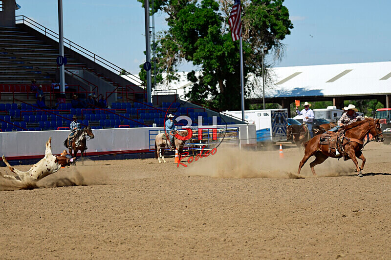 3HRodeo8-11-25_PRCASteer_07853_ - 2025 Colorado Stand Alone Steer Roping-Greeley