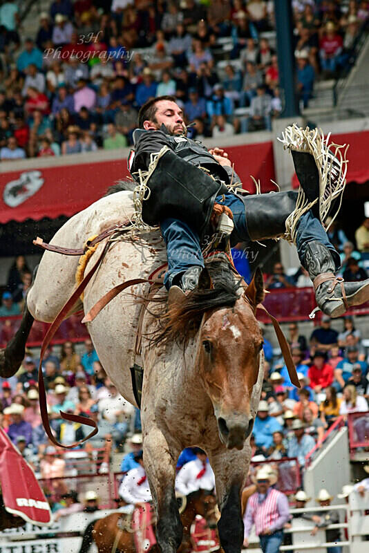 _DSC9334 - 2019 Cheyenne Frontier Days