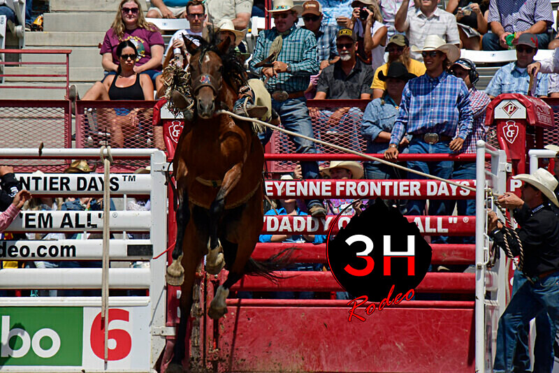 _DSC2879 - CFD Rodeo Performance - July 23rd