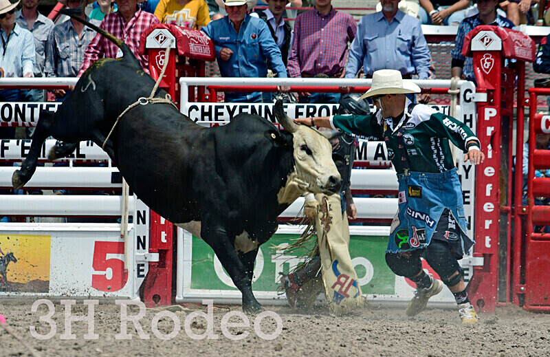 _DSC7084 - CFD Rodeo Performance - July 25th