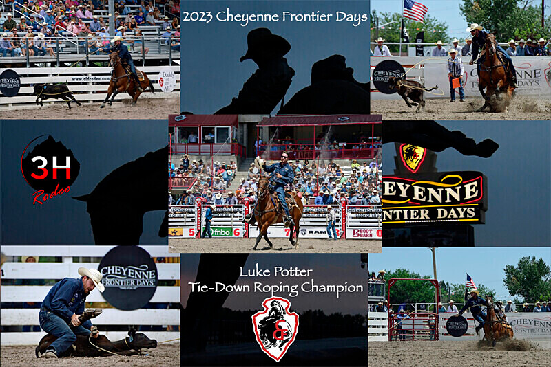 Chris LeDoux Bronze Luke Potter Collage - Rodeo Images as Artwork Pieces